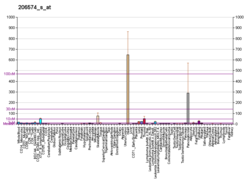 PBB GE PTP4A3 206574 s at fs.png