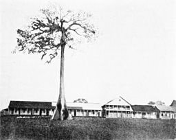 El Rama 1894