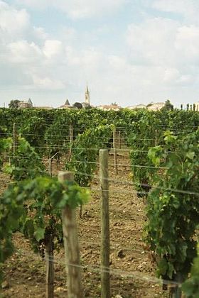 Image illustrative de l’article Pomerol (AOC)