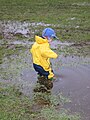 2006年11月22日 (水) 11:32時点における版のサムネイル