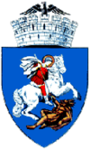 Coat of Arms of Craiova