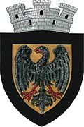 Wappen von Negrești