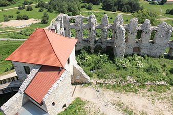 Widok z wieży