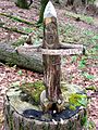 Rustic Carved Wood Statue in Trout Brook Valley Preserve north of Elm Drive parking lot alongside the Blue Trail