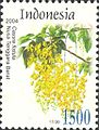 ID017.04, 5 January 2004, Flora - Cassia fistula