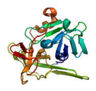 TEV protease