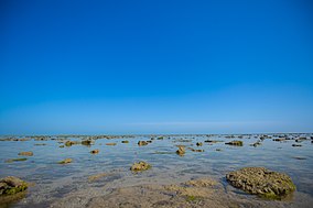 Обширные просторы морского дна Нарары во время отлива в Морском национальном парке Нарара.jpg