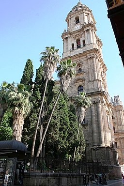 Katedralen i Málaga