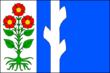 Vlag