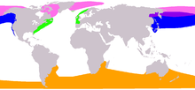 Balaenidae range map.png