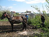 Белорецкие Башкиры возделывают землю