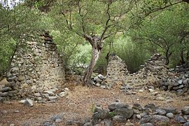 Ruines et oliviers à côté de l'église.