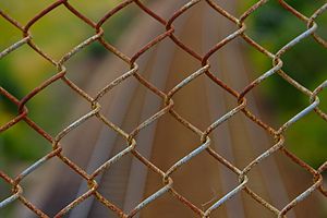 English: A pice of chain link fence over some ...