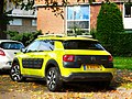 C4 Cactus