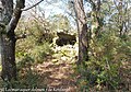 Dolmen à galerie dans la base d'un tumulus circulaire à Kerdaniel