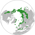 Pienoiskuva 12. tammikuuta 2017 kello 21.38 tallennetusta versiosta