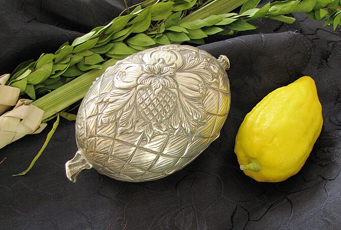 English: Etrog, silver etrog box and lulav, us...