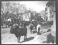 La fira de bestiar al Passeig, cap a 1890.[nota 1]