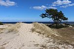 Sanddyn i Furuboda, östra Skåne.