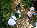 A young entomologist at work on Bugs Day