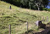 Goffersberg, Neolithic Graves