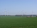 Windpark von Guhra