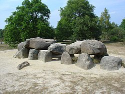 Das Großsteingrab D54 bei Havelte