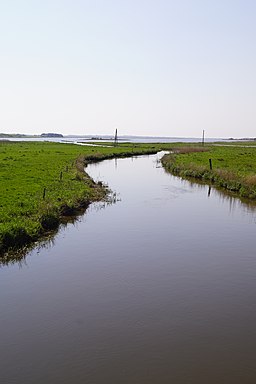 Hvidbjerg Å vid Ørum Sø