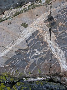 Roques ígnies d'edat precambriana (proterozoica) Les roques mostren estructures típiques de la mescla de dos magmes que es fonien al mateix temps. Parc Nacional de Kosterhavet a l'illa Nordkoster, Suècia.