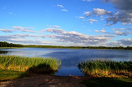 Ilgis nuo Davainiškių apylinkių