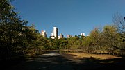 Miniatura para Parque Estadual do Cocó