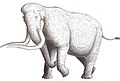 Mammuthus meridionalis