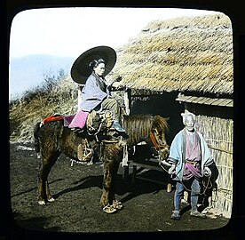 Woman riding pack horse, 1892-1895