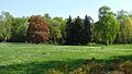 Vue d'une partie du parc au printemps