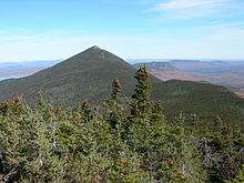 Mixed forest with balsam fir (Abies balsamea) at the southern edge of the white spruce range in Maine on the West Peak of Mount Bigelow Mt Bigelow West Peak Maine.JPG