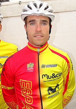 Mikel Aristi