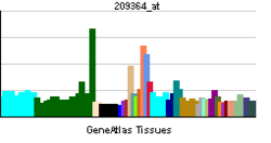 PBB GE MALBONA 209364 ĉe tn.png