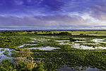 Miniatura para Parque nacional del Pantanal Matogrossense