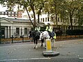 Police montée à Londres