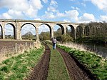 Railway Viaduct over the River Teviot