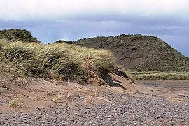 Sand dunes leading to the "back beach" roadway