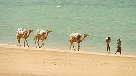 Somaliland (6936778013) (2).jpg