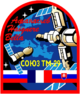 Znak posádky Sojuzu TM-29