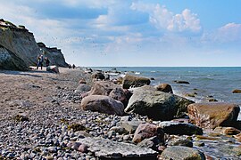 Steilküste bei Ahrenshoop mit Uferschwalben-Kolonie