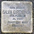 Stolperstein für Salka Birenbaum (Kleiner Griechenmarkt 30)