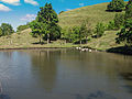 El Campo en La Tuna