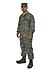 USAF Airman Battle Uniform.jpg