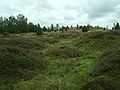 The Dimbo gravefield is the largest Iron Age necropolis in Västergötland.