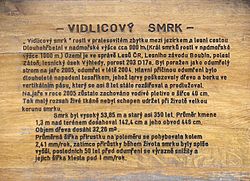 Vidlicový smrk, informační cedule