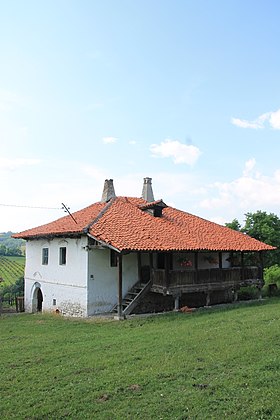 Miokovci